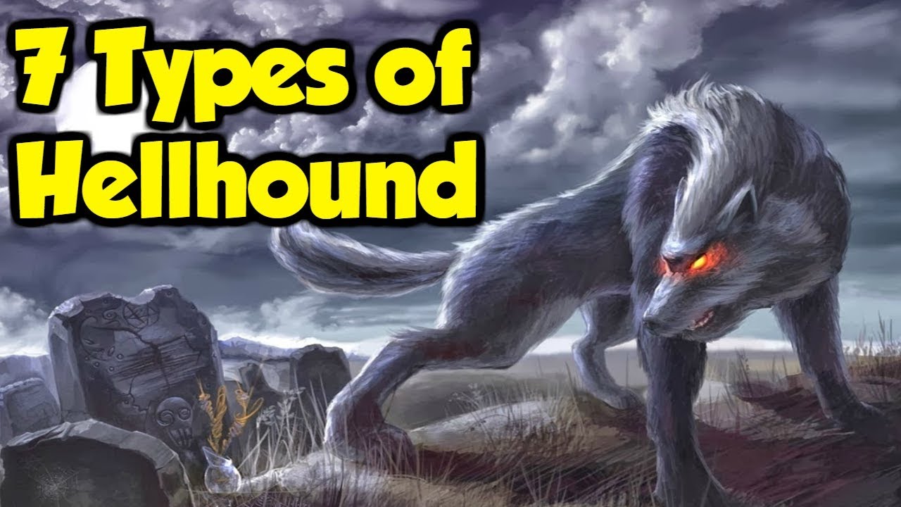7 Types of Hellhound from Great Britain  Europe